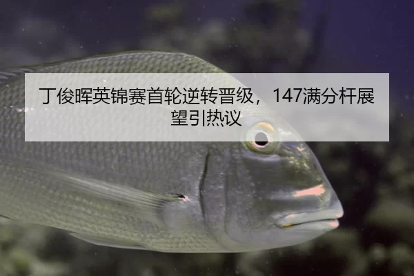 ding-jun-hui-ying-jin-sai-shou-lun-ni-zhuan-jin-ji-man-fen-gan-zhan-wang-yin-re-yi-2-572.jpg