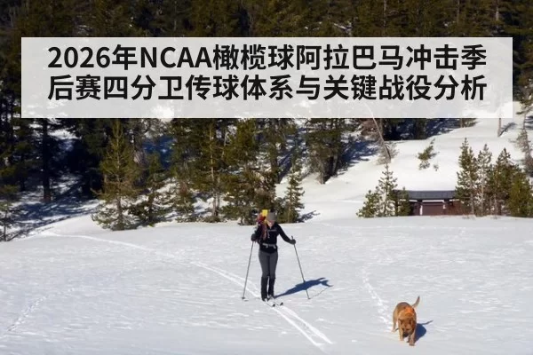 2026年NCAA橄榄球阿拉巴马冲击季后赛四分卫传球体系与关键战役分析